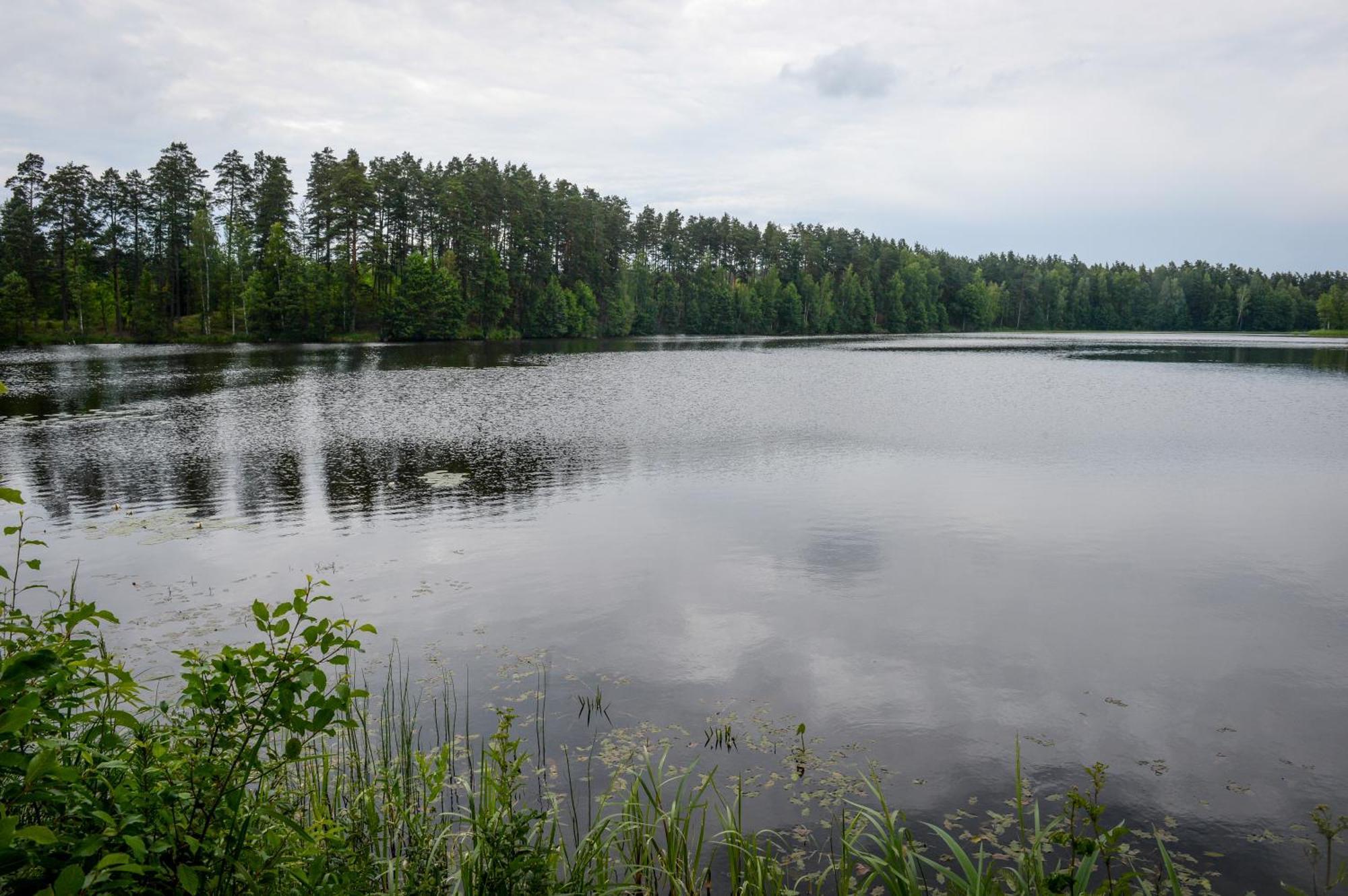 Alberta Diki Upesciems Rum bild